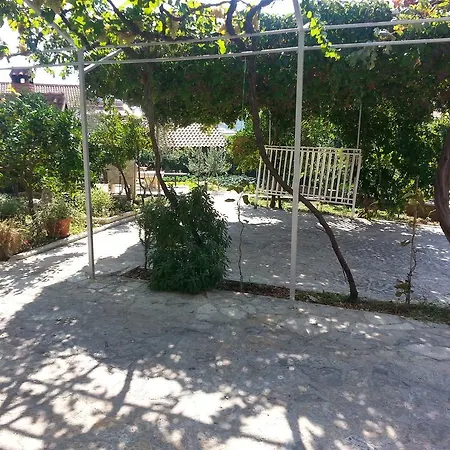 Apartment Branka