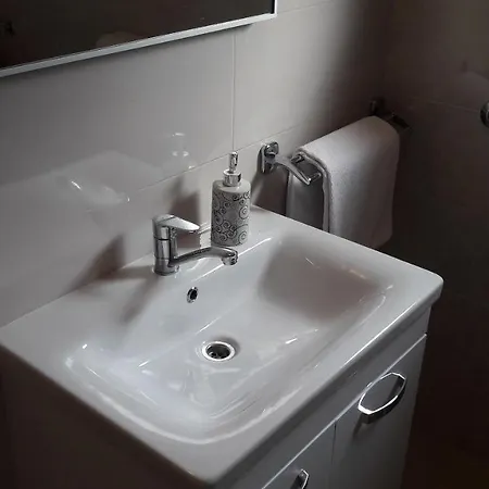 Apartment Branka